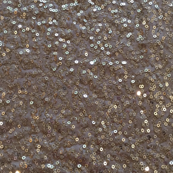 Bundle of Sequin Tank Tops - Picture 5 of 7